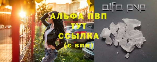 дмт Инта